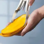 Fruit Diced Tool