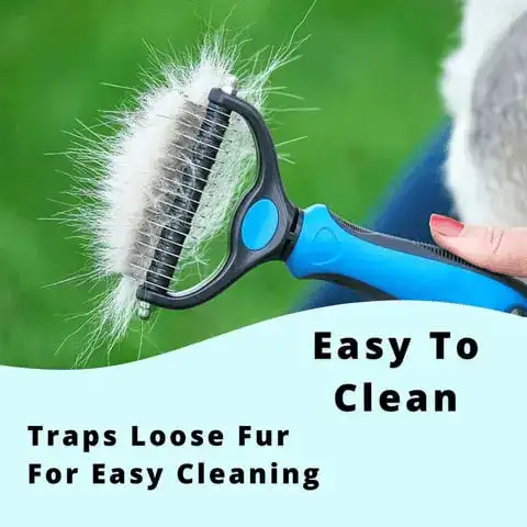 Healthy Grooming Features