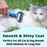 Deshedding Tool For Dogs And Cats
