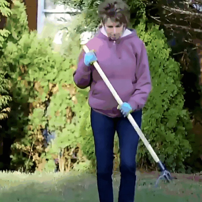 Root Weed Remover